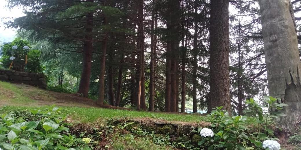 Lāhri Hotel Forest View מראה חיצוני תמונה